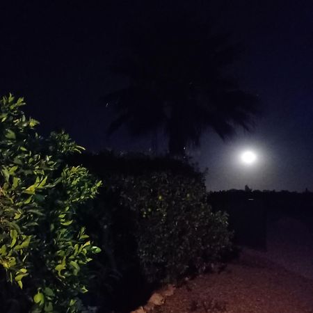 La Buganvilla, Descanso Entre Olivares Hornachuelos Bagian luar foto