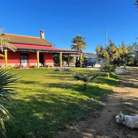 La Buganvilla, Descanso Entre Olivares Hornachuelos Bagian luar foto