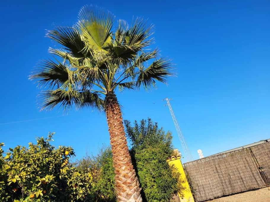 La Buganvilla, Descanso Entre Olivares Hornachuelos Bagian luar foto