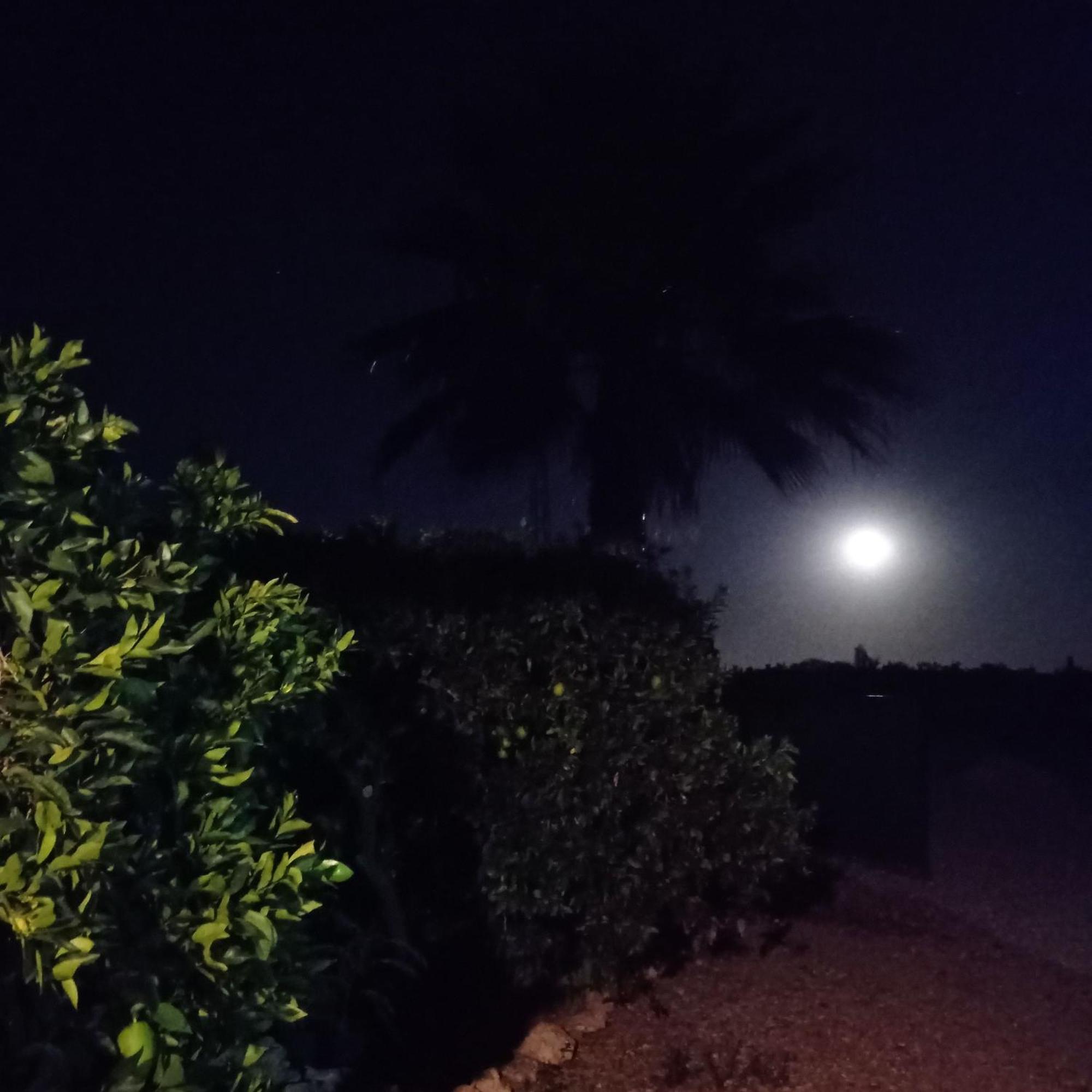 La Buganvilla, Descanso Entre Olivares Hornachuelos Bagian luar foto