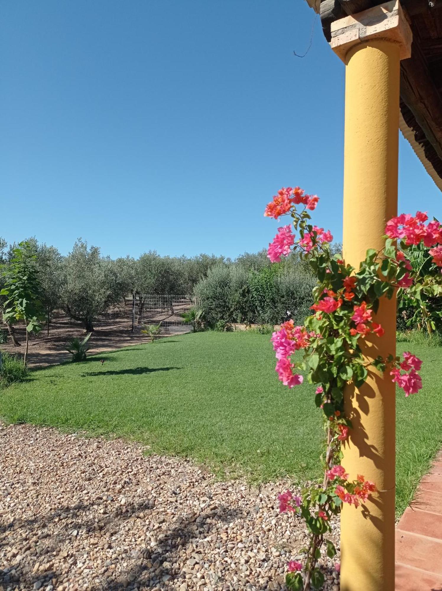 La Buganvilla, Descanso Entre Olivares Hornachuelos Bagian luar foto