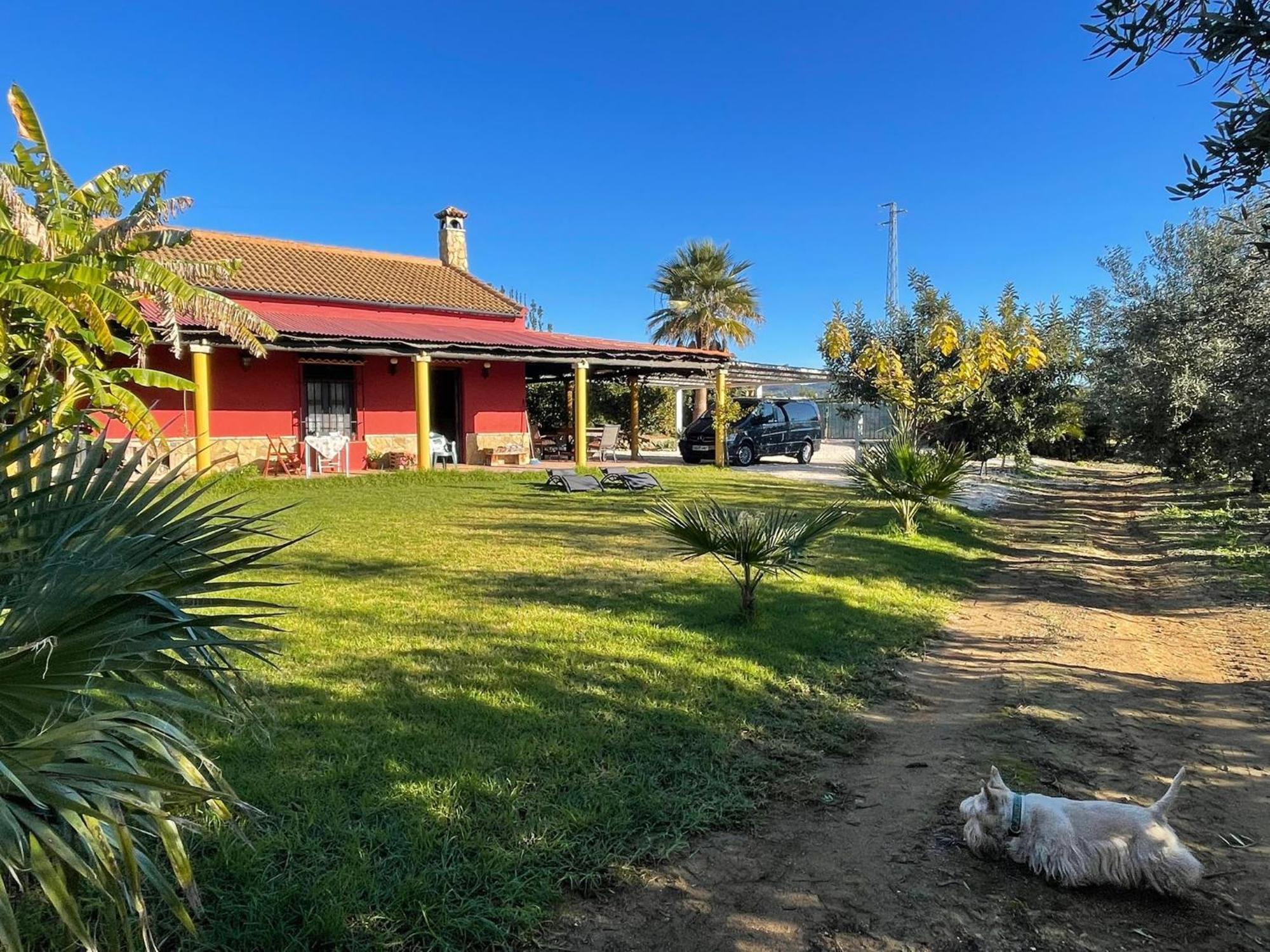 La Buganvilla, Descanso Entre Olivares Hornachuelos Bagian luar foto